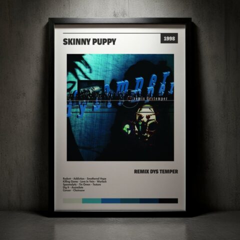 Cuadro Skinny Puppy - Remix Dys Temper