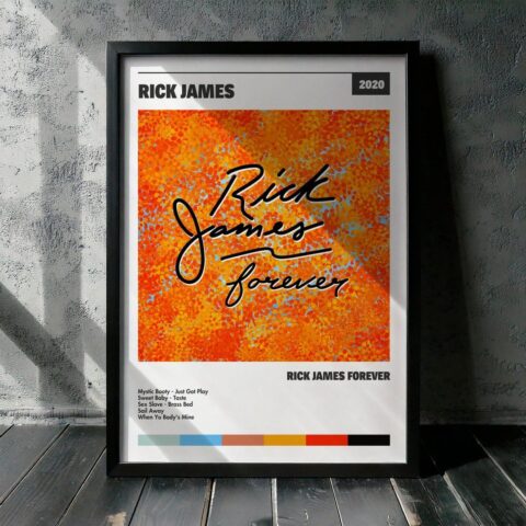 Cuadro Rick James - Rick James Forever