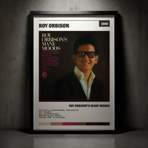 Cuadro Roy Orbison - Roy Orbison’s Many Moods