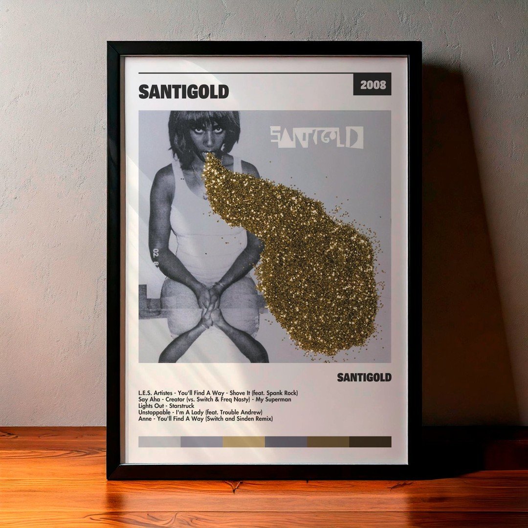 Cuadro Santigold - Santigold