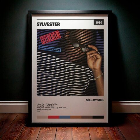 Cuadro Sylvester - Sell My Disco