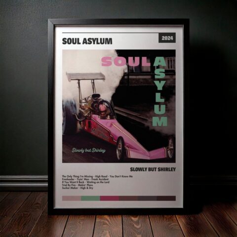 Cuadro Disco Asylum - Slowly But Shirley