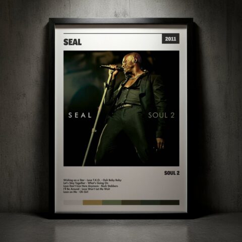 Cuadro Seal - Disco 2
