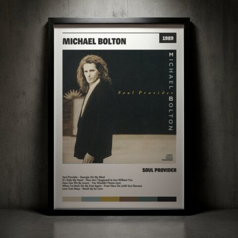Cuadro Michael Bolton - Disco Provider