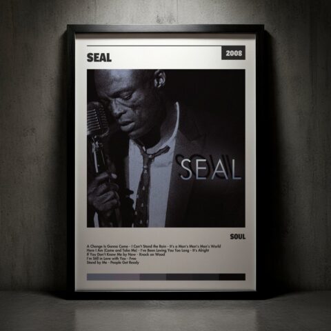 Cuadro Seal - Disco