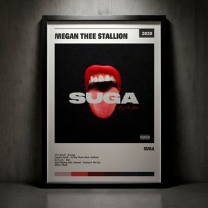 Cuadro Megan Thee Stallion - Suga