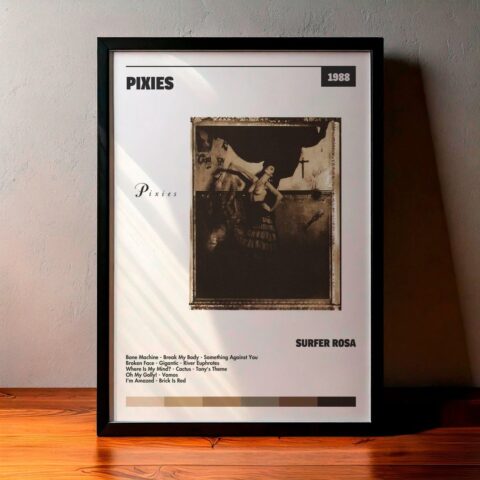 Cuadro Pixies - Surfer Rosa