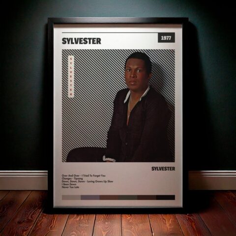 Cuadro Sylvester - Sylvester