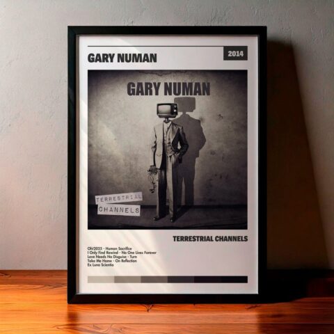 Cuadro Gary Numan - Terrestrial Channels