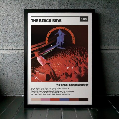 Cuadro The Beach Boys - The Beach Boys In Concert