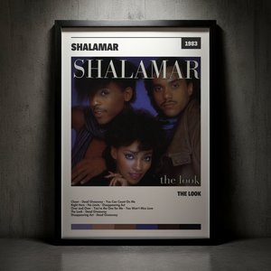Cuadro Shalamar - The Look