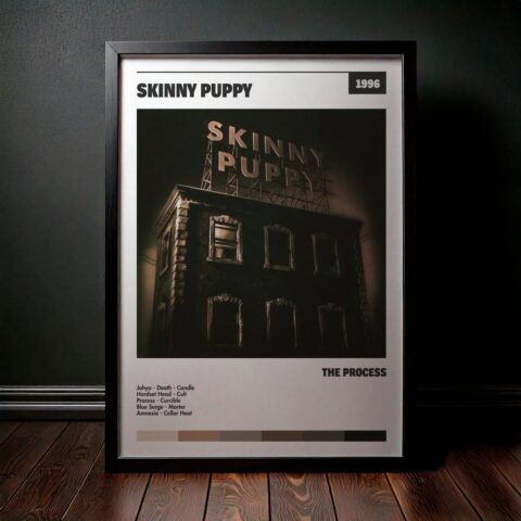 Cuadro Skinny Puppy - The Process