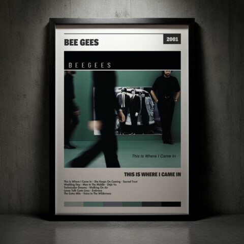 Cuadro Bee Gees - This Is Where I Came In