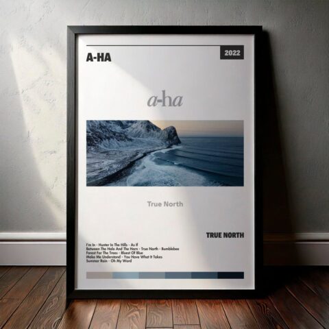 Cuadro A-ha - True North