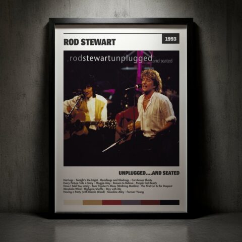 Cuadro Rod Stewart - Unplugged....And Seated