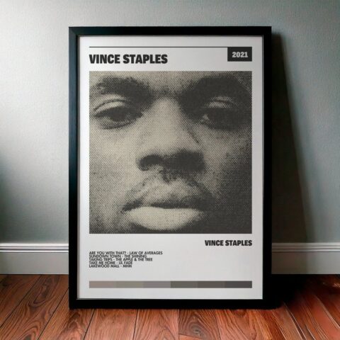 Cuadro Vince Staples - Vince Staples