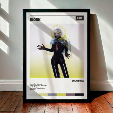 Cuadro Björk - Vulnicura