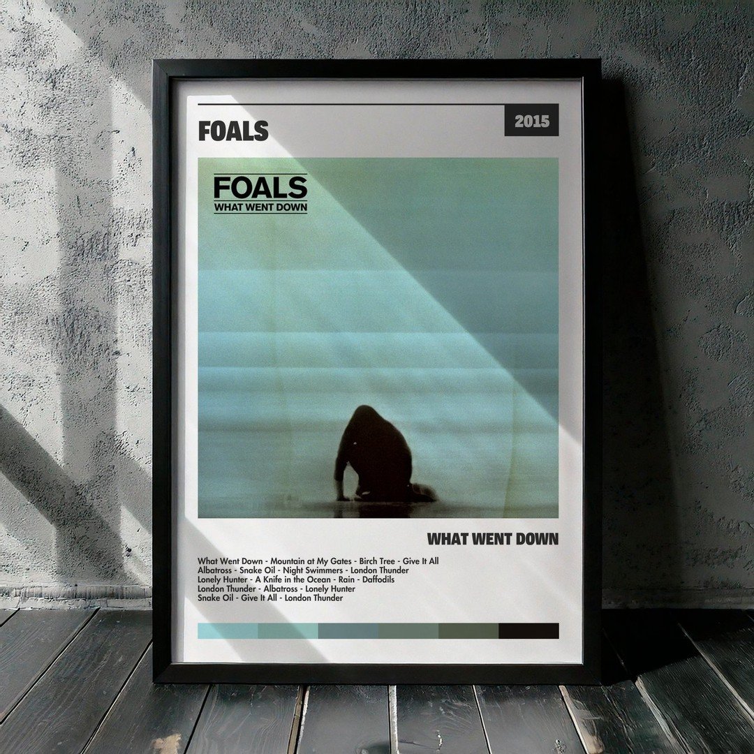 Cuadro Foals - What Went Down