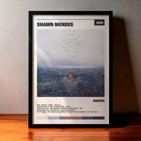 Cuadro Shawn Mendes - Wonder
