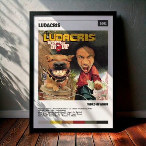 Cuadro Ludacris - Word Of Mouf