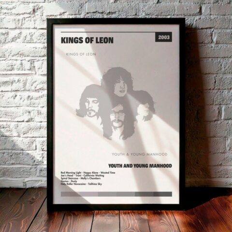 Cuadro Kings of Leon - Youth And Young Manhood