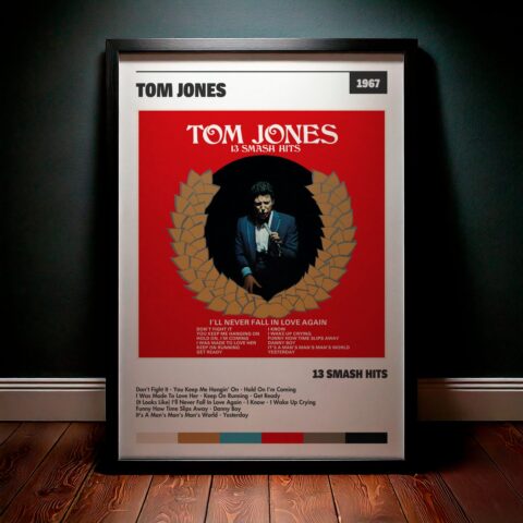 Cuadro Tom Jones – 13 Smash Hits