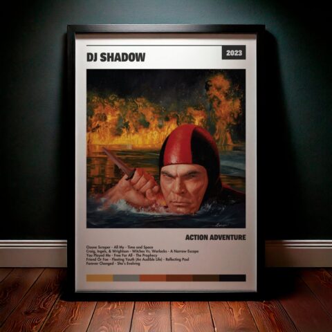 Cuadro Dj Shadow – Action Adventure