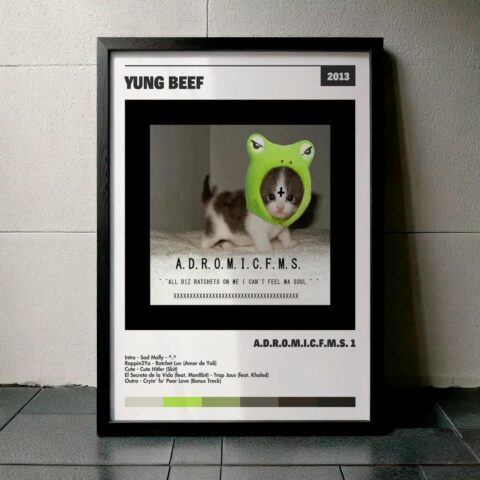 Cuadro Yung Beef – A.D.R.O.M.I.C.F.M.S. 1