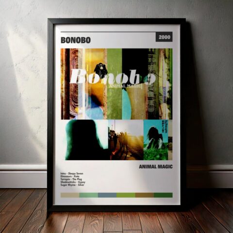 Cuadro Bonobo – Animal Magic