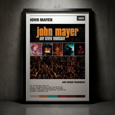 Cuadro John Mayer – Any Given Thursday