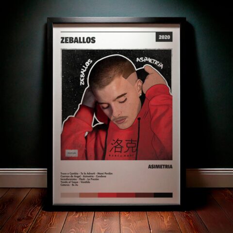 Cuadro Zeballos – Asimetría