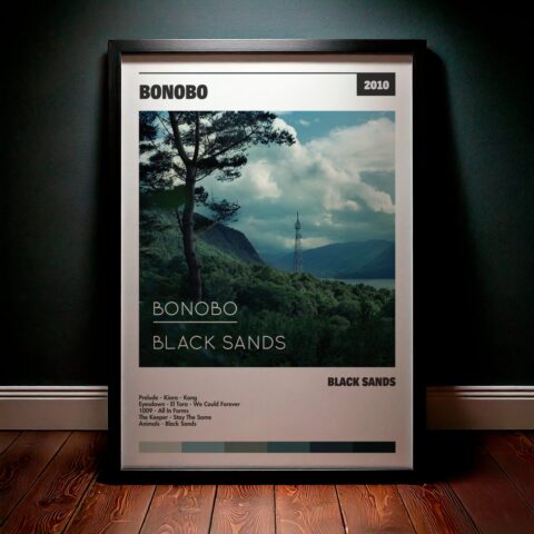 Cuadro Bonobo – Black Sands