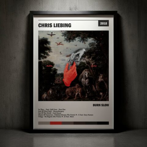 Cuadro Chris Liebing – Burn Slow