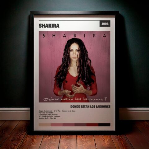 Cuadro Shakira – Donde Estan Los Ladrones