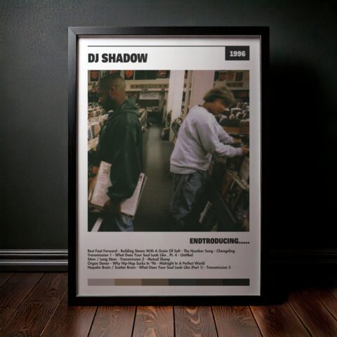 Cuadro Dj Shadow – Endtroducing.....