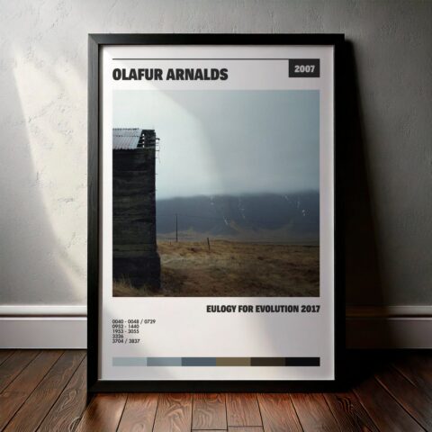 Cuadro Ólafur Arnalds – Eulogy for Evolution 2017