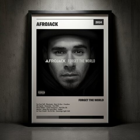 Cuadro Afrojack – Forget The World