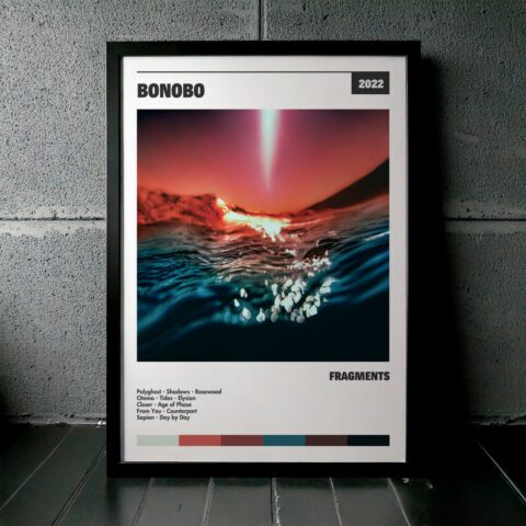 Cuadro Bonobo – Fragments