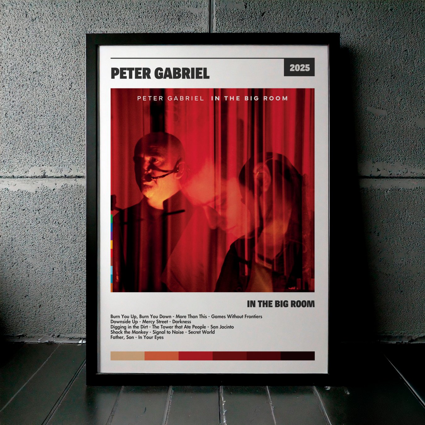 Cuadro Peter Gabriel – In The Big Room