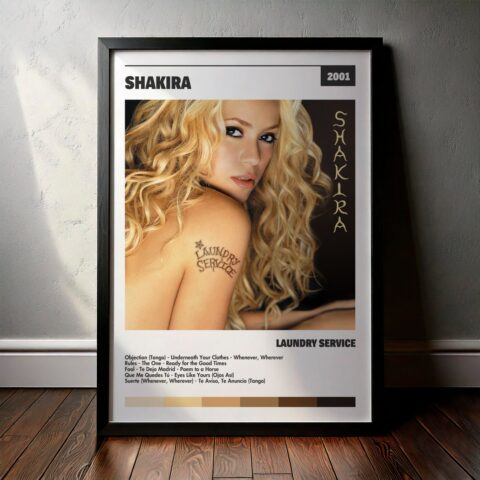 Cuadro Shakira – Laundry Service