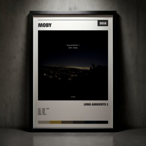 Cuadro Moby – Long Ambients 1