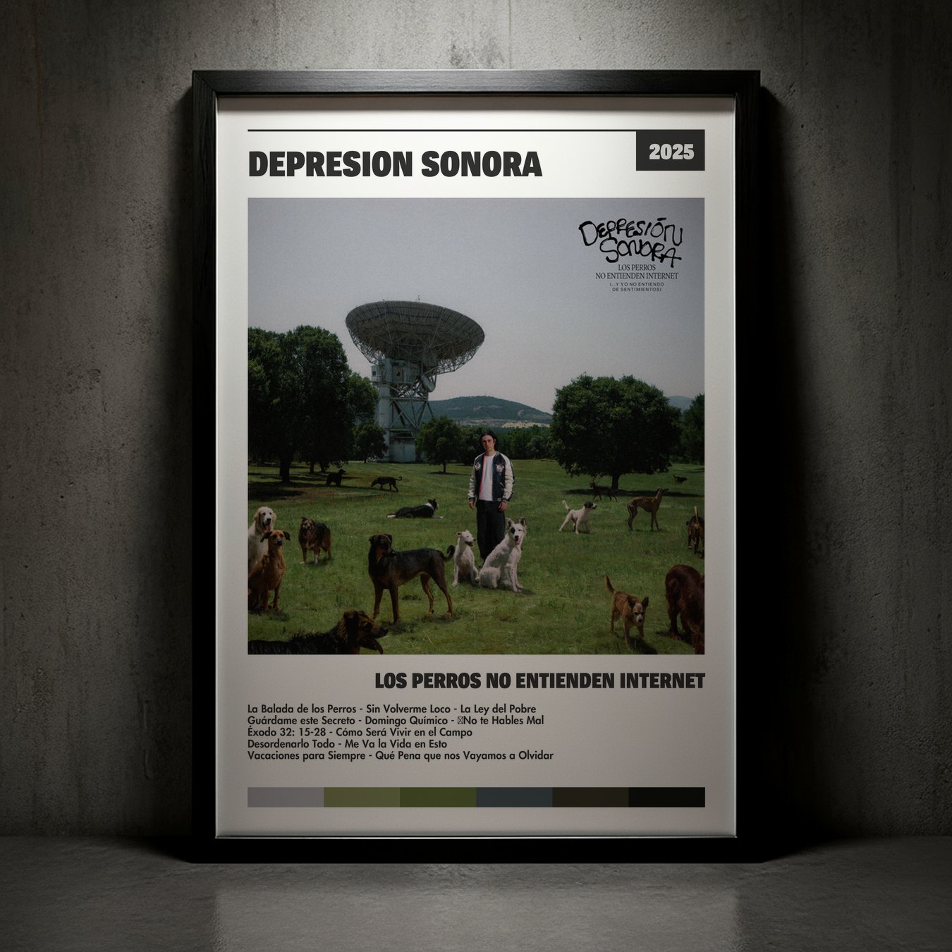 Cuadro Depresión Sonora – Los Perros no Entienden Internet