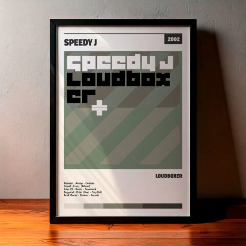 Cuadro Speedy J – Loudboxer