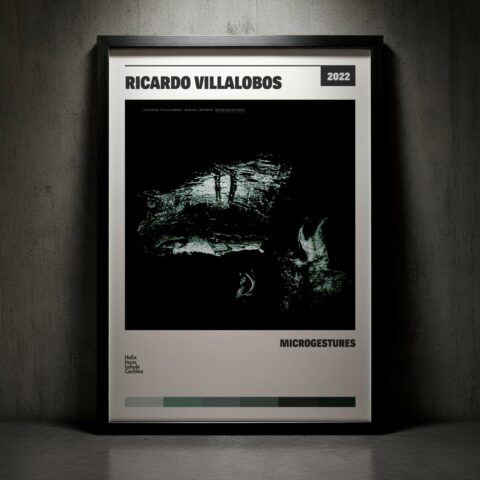 Cuadro Ricardo Villalobos – Microgestures