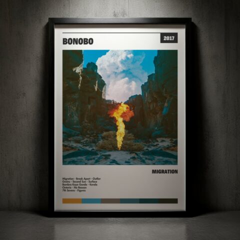 Cuadro Bonobo – Migration
