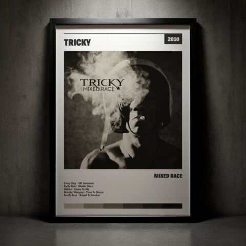 Cuadro Tricky – Mixed Race