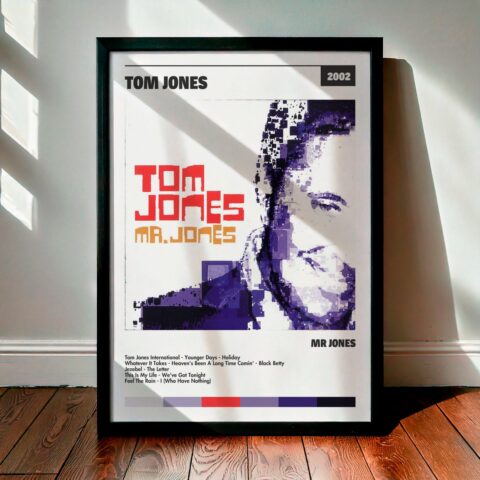Cuadro Tom Jones – Mr Jones