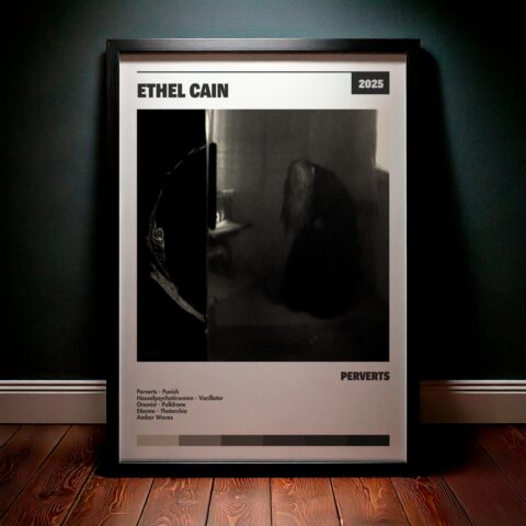 Cuadro Ethel Cain – Perverts