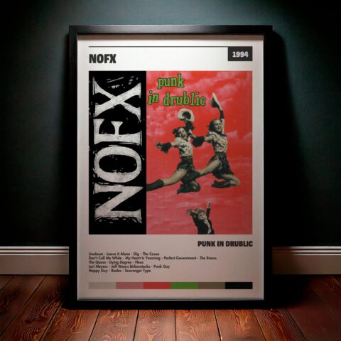Cuadro Nofx – Punk In Drublic