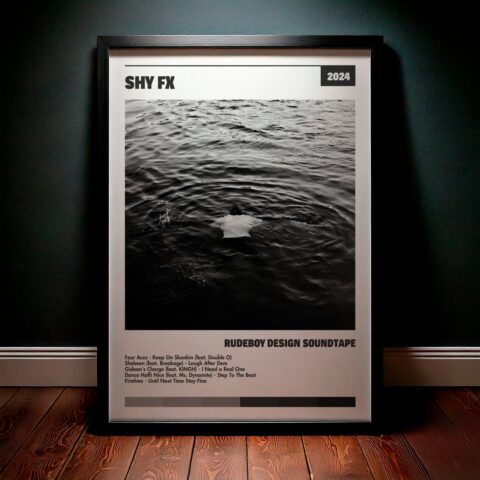Cuadro Shy Fx – Rudeboy Design Soundtape